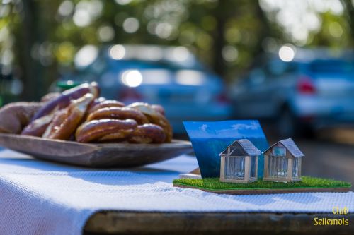 Kalmitweinberg_Einweihung