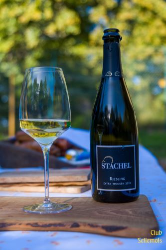 Kalmitweinberg_Einweihung