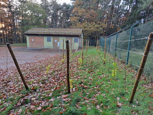 Kontrolle Gesamtansicht