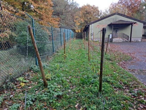 Kontrolle Gesamtansicht