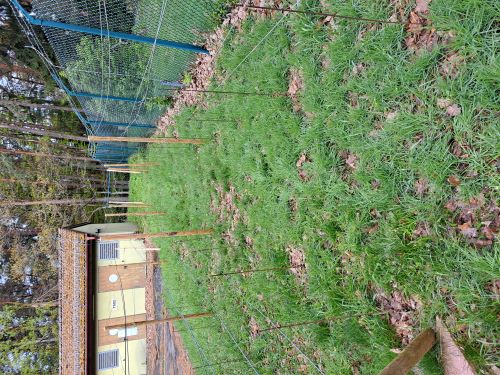 Blick in die Zeilen b und c