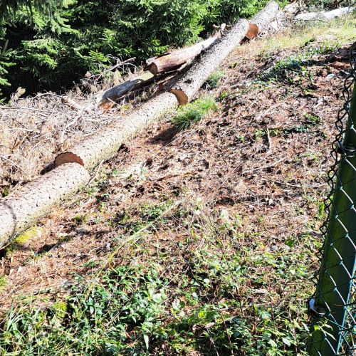 Einschlag zum Schutz des Zaunes