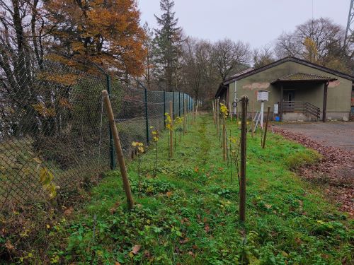 Vermessung im Gelände