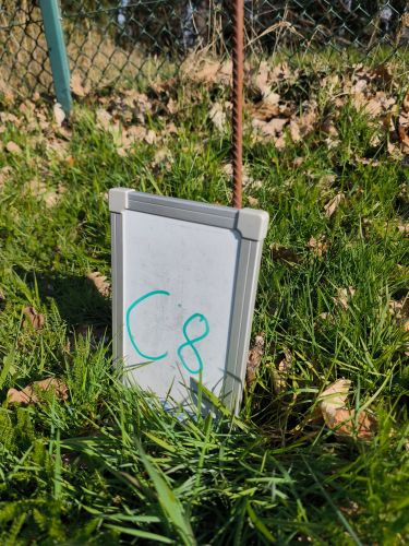 C_8