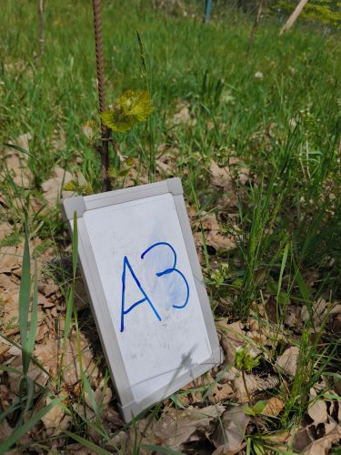 A_3