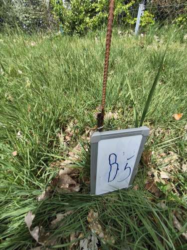 B_5