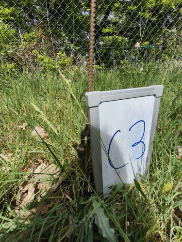 C_3