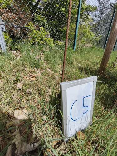 C_5